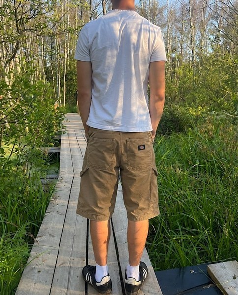 Brown cargo shorts