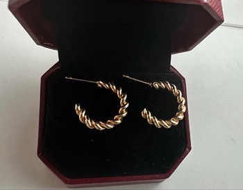 Gold twisted hoop earrings