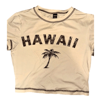Beige Hawaii crop top