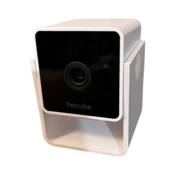 PetCube Cam Lemmikkikamera