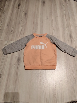 PUMA lasten collegepaita