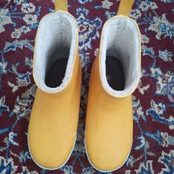 Tretorn shoes