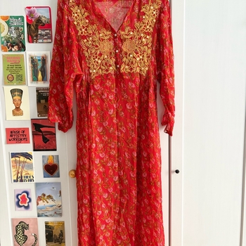 Zara dress