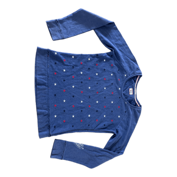 Blue star embroidered sweatshirt