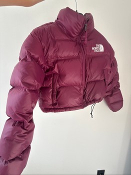 The north face striuke