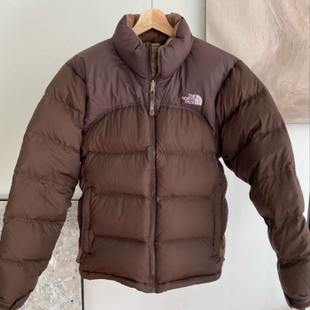 The north face coat