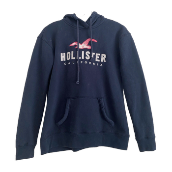 Hollister hoodie