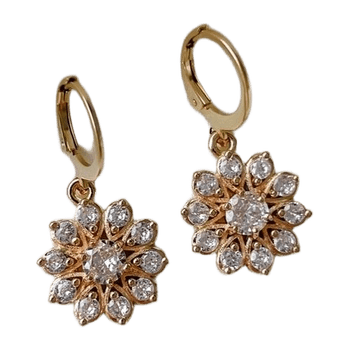 Zircon earrings jewelry