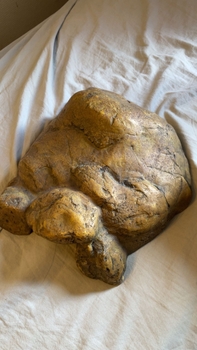 Pienen eläimen piilo