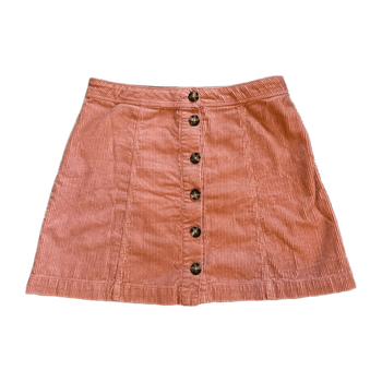 H&m skirt