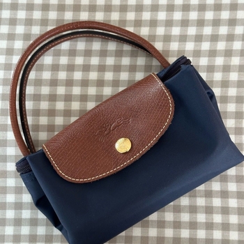 Longchamp bag