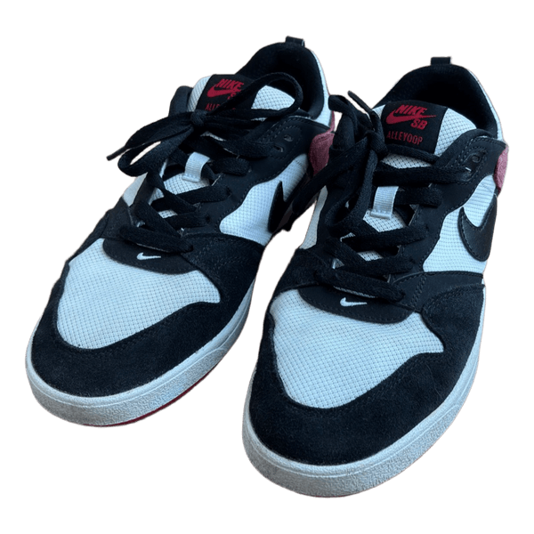 Nike SB Alleyoop sneakers
