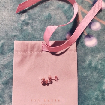 Ted baker jewelry