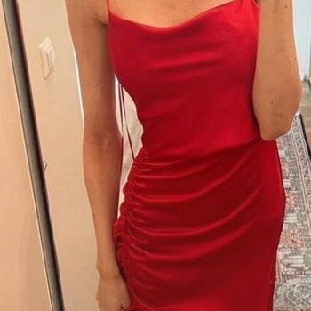 Zara dress