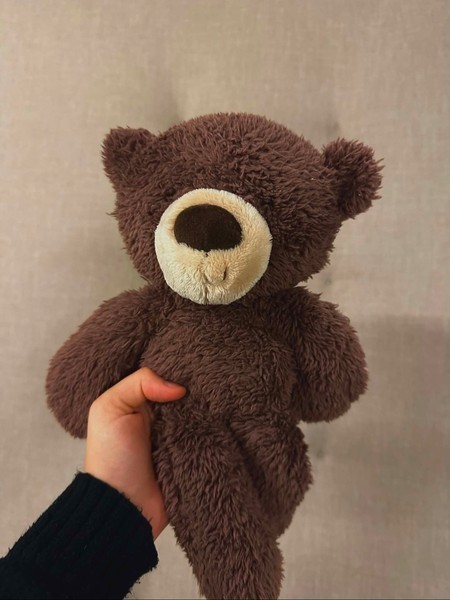 Brun bamse i plys