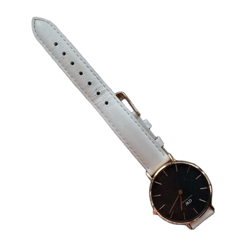 Daniel wellington watch