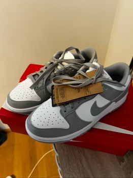Nike Dunk Low next nature sneakers