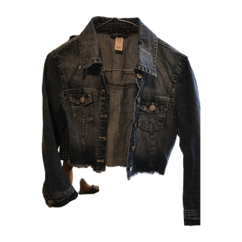 Gina jeans blazer