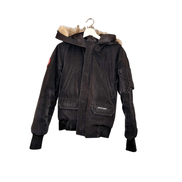 canada goose