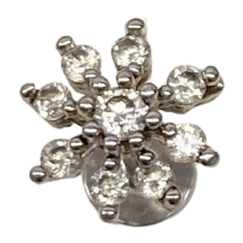 Earring jewelry