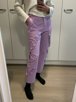 The Ragged Priest Pastel Pants