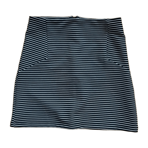 H&m skirt