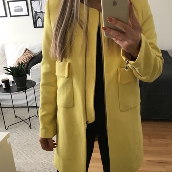 Zara coat