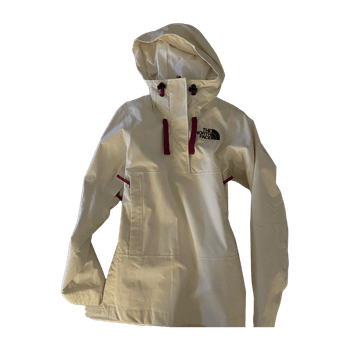 The north face coat