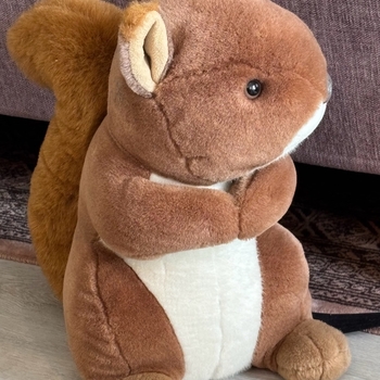 Iso pehmo-orava