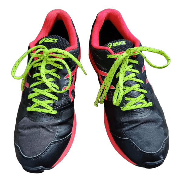 Gel-Fujisetsu 2 Goretex shoes
