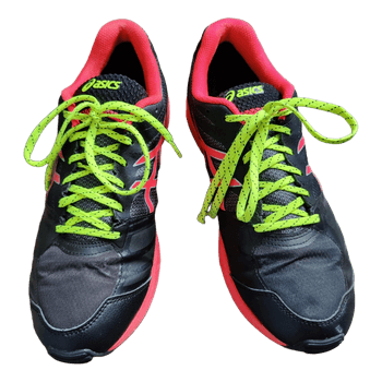 Gel-Fujisetsu 2 Goretex shoes