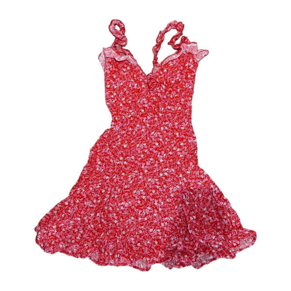 Zara dress