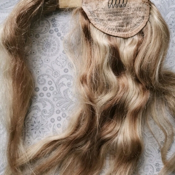 Rapunzel of sweden accessory