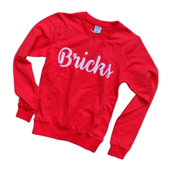 Bricks hoodie
