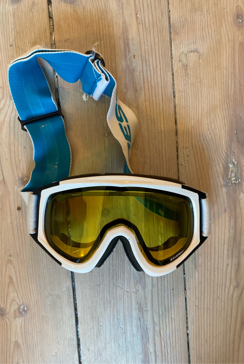 Everest Ski Goggles