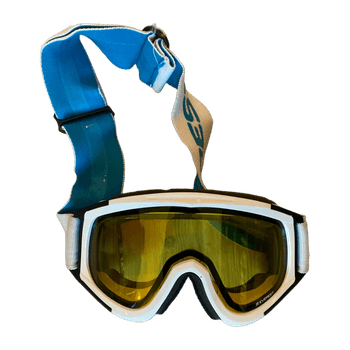 Everest Ski Goggles