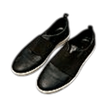 Black Ecco Shoes