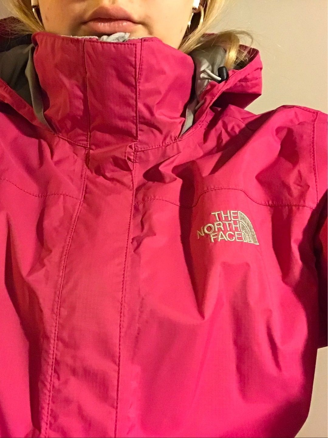 The north face coat