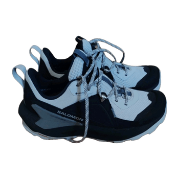 Salomon sports shoes