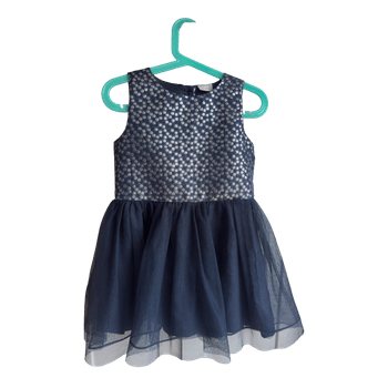 Name It Sparkling Silver & Navy Tulle Party