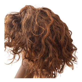 Human hair wig