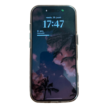 iPhone 16 Pro