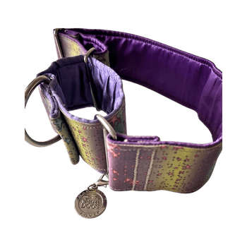 Walonadogs - martingaalipanta