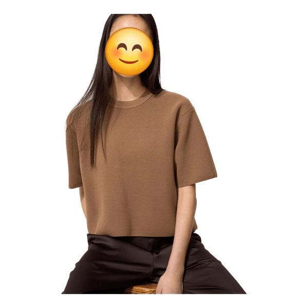 Brown crop top