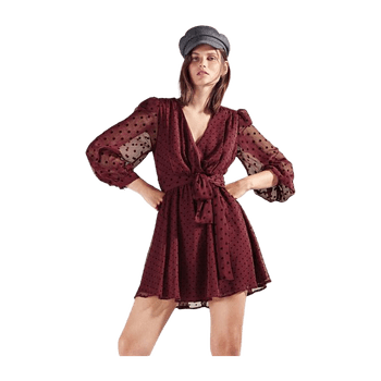 Dotted mesh mini dress