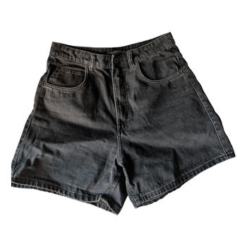 Zara shorts