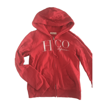 Hollister hoodie