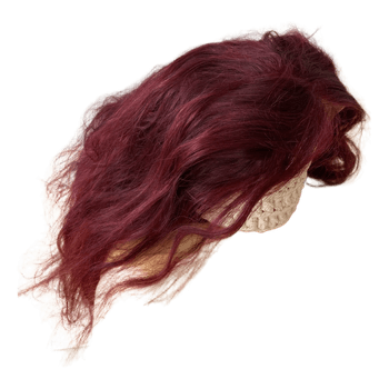 Human hair wig