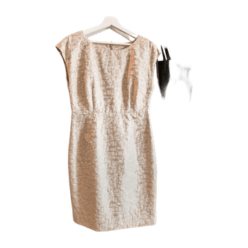 Tiger of sweden dress