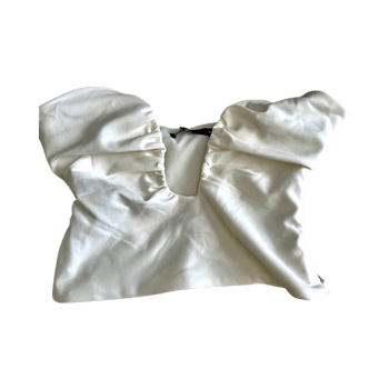 Zara crop top